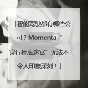 智能驾驶都有哪些公司？Momenta“穿行桥底迷宫”无法不令人印象深刻！