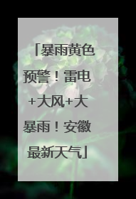 暴雨黄色预警！雷电+大风+大暴雨！安徽最新天气