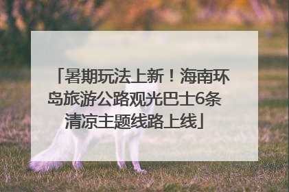 暑期玩法上新！海南环岛旅游公路观光巴士6条清凉主题线路上线