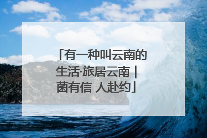 有一种叫云南的生活·旅居云南｜菌有信 人赴约