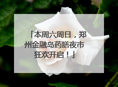 本周六周日，郑州金融岛药膳夜市狂欢开启！