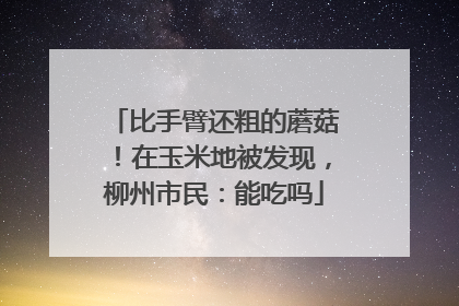 比手臂还粗的蘑菇！在玉米地被发现，柳州市民：能吃吗