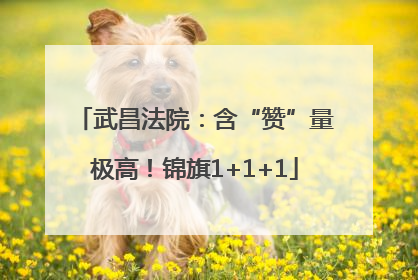 武昌法院：含“赞”量极高！锦旗1+1+1
