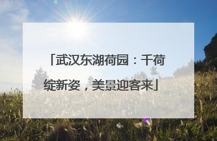 武汉东湖荷园：千荷绽新姿，美景迎客来