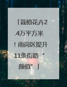 栽植花卉2.4万平方米！南岗区提升11条街路“颜值”