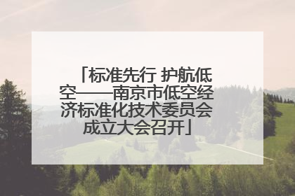 标准先行 护航低空——南京市低空经济标准化技术委员会成立大会召开