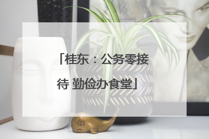 桂东：公务零接待 勤俭办食堂