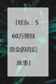 桂东：560万帮扶资金的背后故事