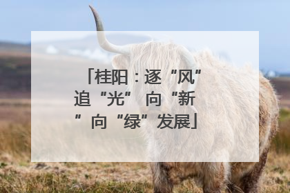 桂阳：逐“风”追“光” 向“新”向“绿”发展