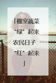 棚室蔬菜“绿”起来 农民日子“红”起来