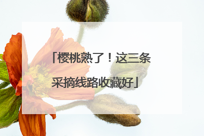 樱桃熟了！这三条采摘线路收藏好