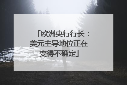 欧洲央行行长：美元主导地位正在变得不确定