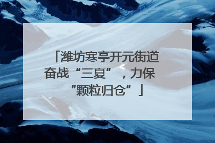 潍坊寒亭开元街道奋战“三夏”，力保“颗粒归仓”