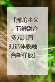 潍坊奎文：五维融合多元共育 打造体教融合新样板