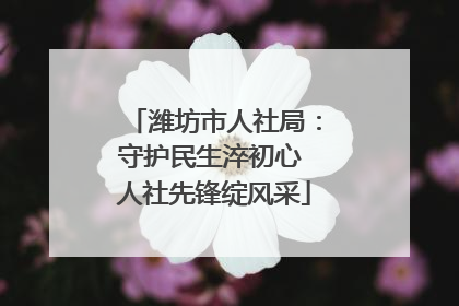 潍坊市人社局：守护民生淬初心 人社先锋绽风采