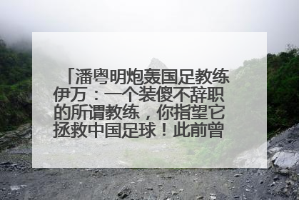 潘粤明炮轰国足教练伊万：一个装傻不辞职的所谓教练，你指望它拯救中国足球！此前曾多次发文评价国足