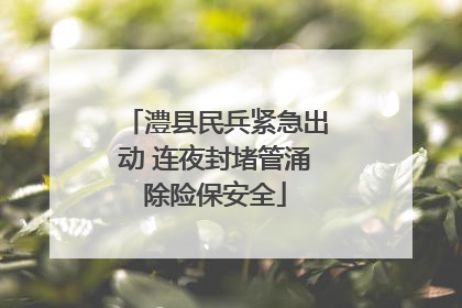 澧县民兵紧急出动 连夜封堵管涌除险保安全