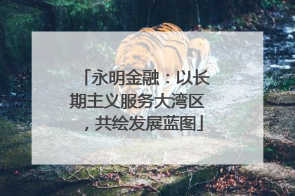 永明金融：以长期主义服务大湾区，共绘发展蓝图