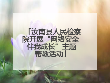 汝南县人民检察院开展“网络安全 伴我成长”主题帮教活动