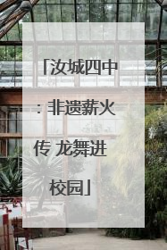 汝城四中：非遗薪火传 龙舞进校园