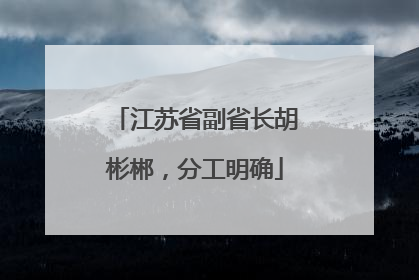 江苏省副省长胡彬郴，分工明确