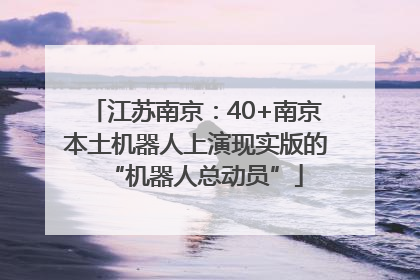 江苏南京：40+南京本土机器人上演现实版的“机器人总动员”