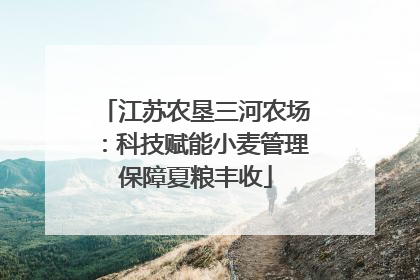 江苏农垦三河农场：科技赋能小麦管理保障夏粮丰收