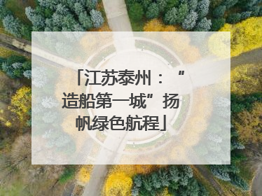 江苏泰州：“造船第一城”扬帆绿色航程
