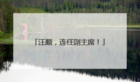 汪顺，连任副主席！
