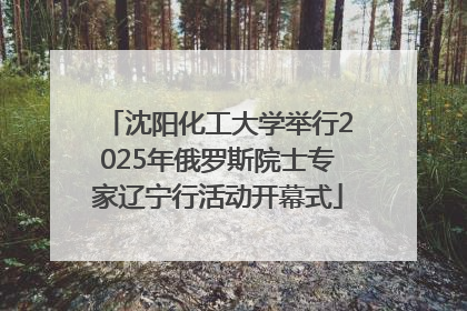 沈阳化工大学举行2025年俄罗斯院士专家辽宁行活动开幕式