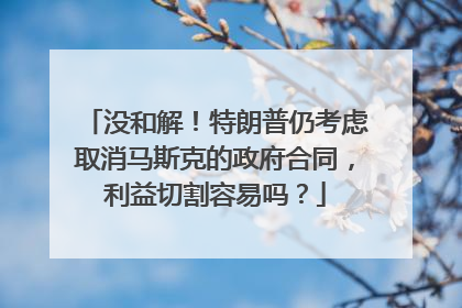 没和解！特朗普仍考虑取消马斯克的政府合同，利益切割容易吗？