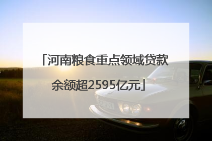 河南粮食重点领域贷款余额超2595亿元