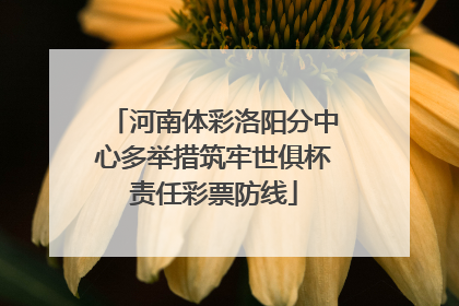 河南体彩洛阳分中心多举措筑牢世俱杯责任彩票防线