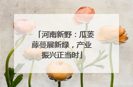 河南新野：瓜蒌藤蔓展新绿，产业振兴正当时