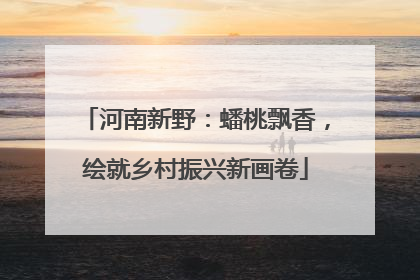 河南新野：蟠桃飘香，绘就乡村振兴新画卷
