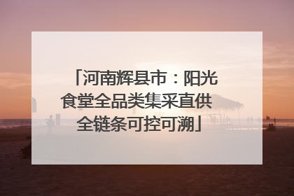 河南辉县市：阳光食堂全品类集采直供 全链条可控可溯