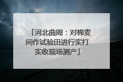 河北曲周：对棉麦间作试验田进行实打实收现场测产