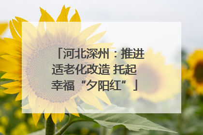 河北深州：推进适老化改造 托起幸福“夕阳红”