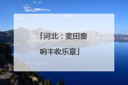 河北：麦田奏响丰收乐章