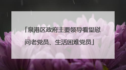 泉港区政府主要领导看望慰问老党员、生活困难党员