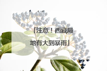 注意！西藏局地有大到暴雨