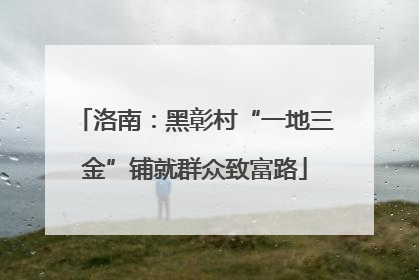 洛南：黑彰村“一地三金”铺就群众致富路