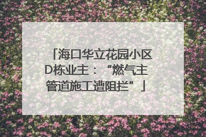 海口华立花园小区D栋业主：“燃气主管道施工遭阻拦”