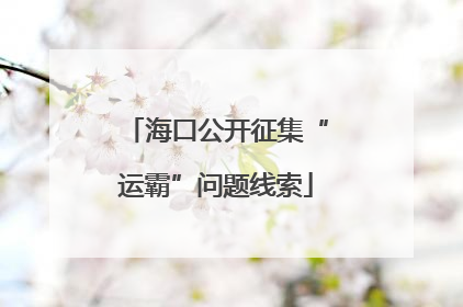 海口公开征集“运霸”问题线索