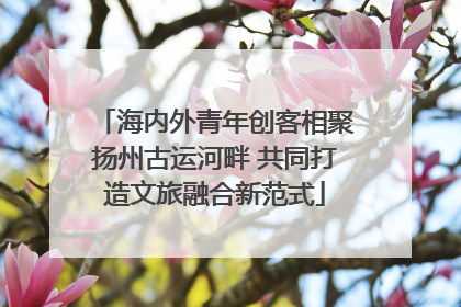 海内外青年创客相聚扬州古运河畔 共同打造文旅融合新范式