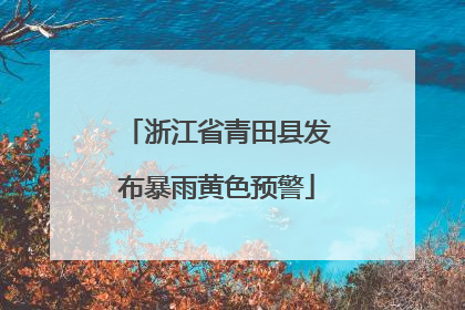 浙江省青田县发布暴雨黄色预警