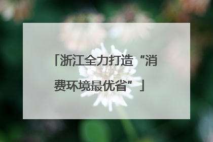 浙江全力打造“消费环境最优省”