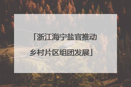 浙江海宁盐官推动乡村片区组团发展
