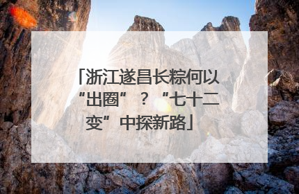 浙江遂昌长粽何以“出圈”？“七十二变”中探新路
