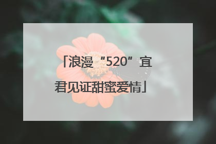浪漫“520”宜君见证甜蜜爱情